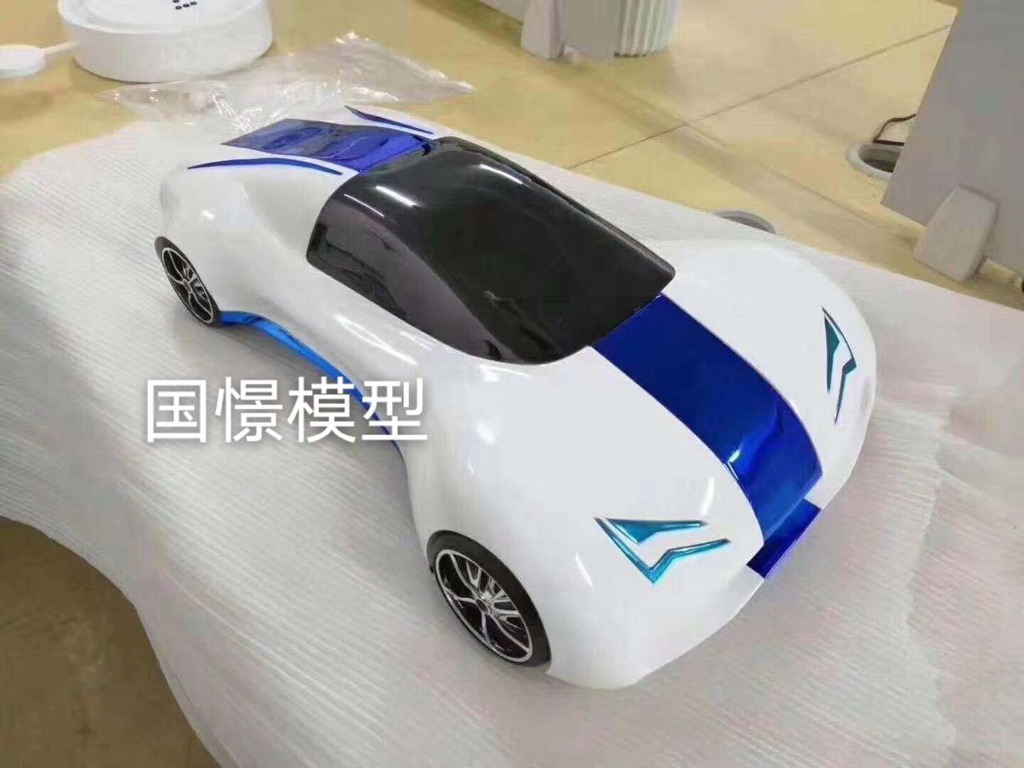 泰兴市车辆模型