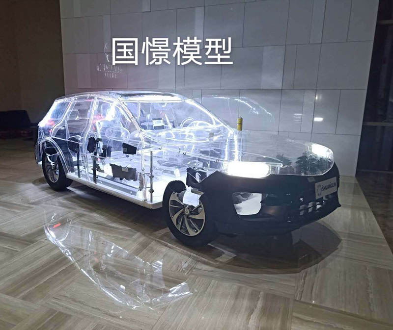 泰兴市透明车模型